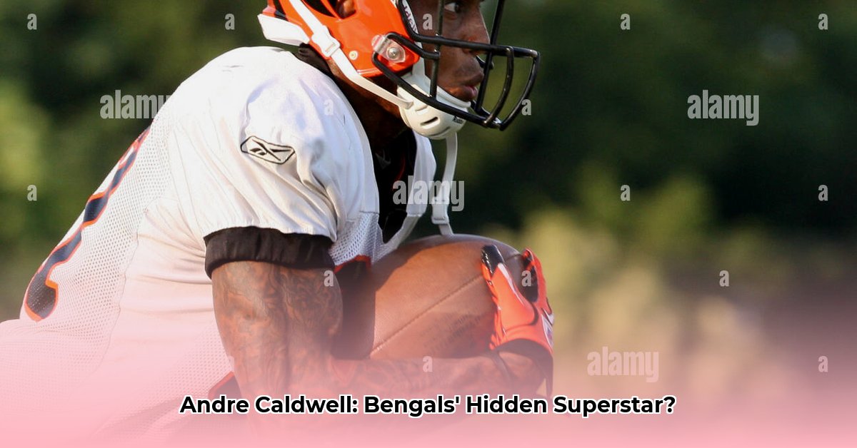 andre-caldwell-bengals